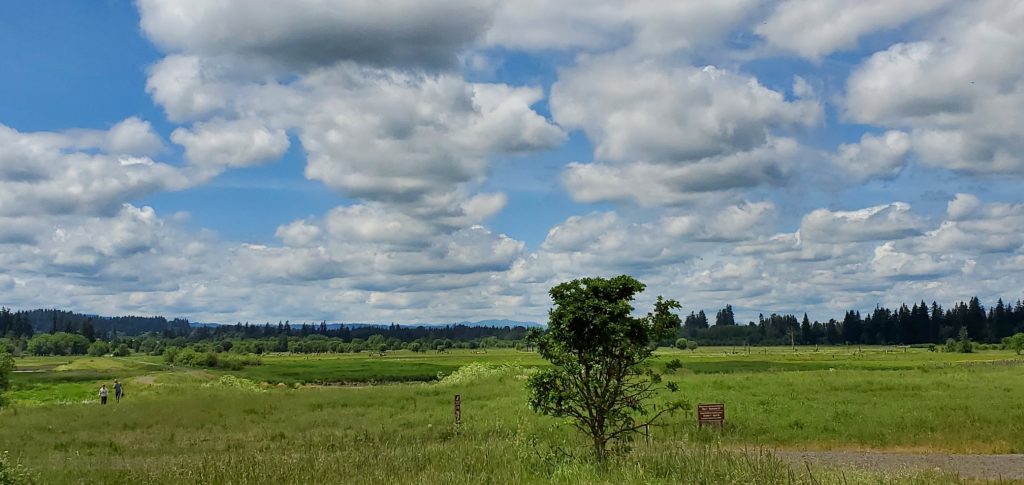 Tualitin Wildlife Refuge