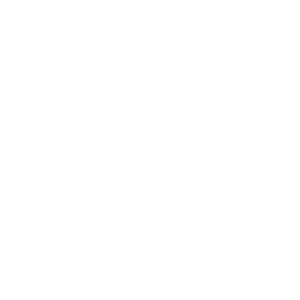 Caitlin Gabel Flaming Chickens